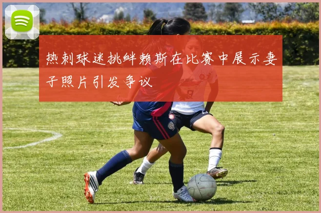 热刺球迷挑衅赖斯在比赛中展示妻子照片引发争议